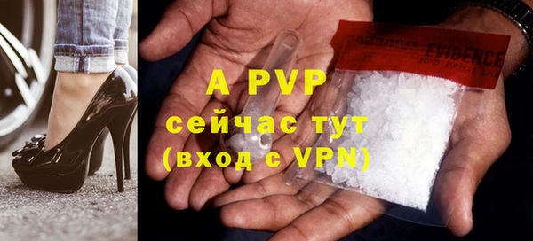СК Вязьма