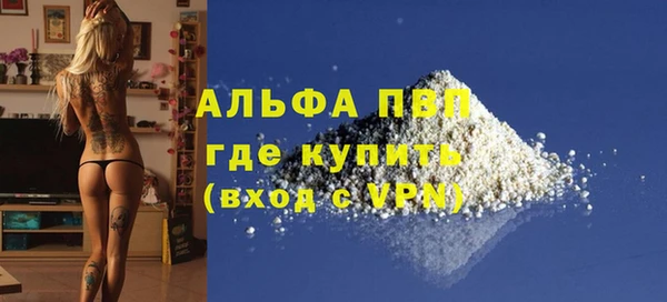 СК Вязьма