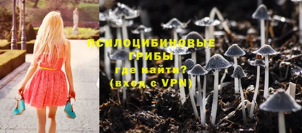 мдпв Вязники