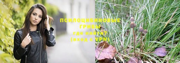 марки nbome Вяземский