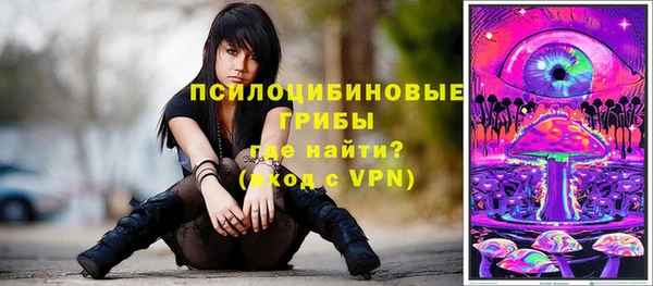 СК Вязьма