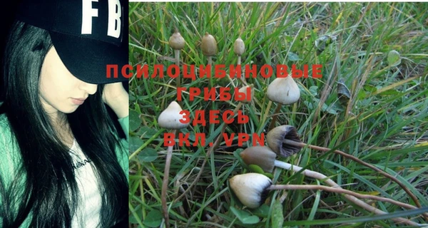 марки nbome Вяземский