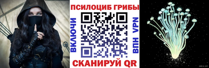 Купить где  Можайск  Псилоцибиновые грибы Magic Shrooms 